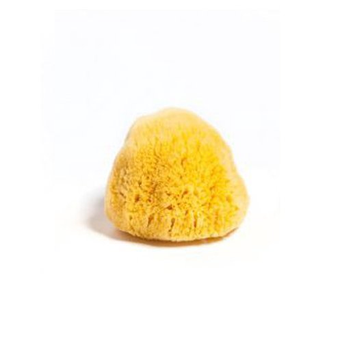Natural Sea Sponges