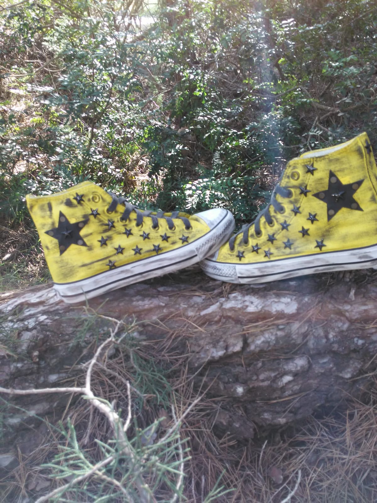 Sneaker Clásica Amarilla Con Estrellas 