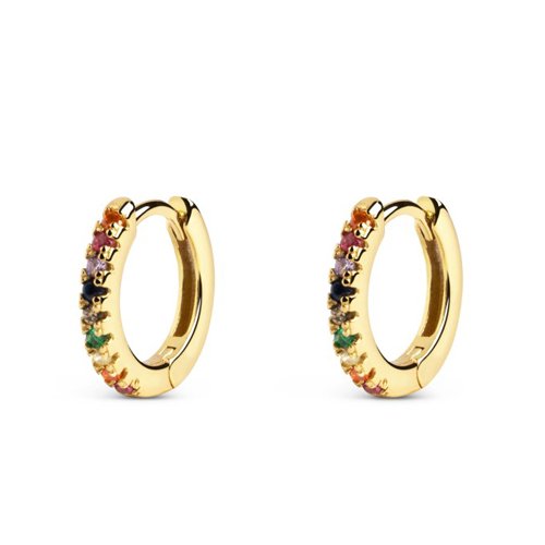 Multicolor Strass Earrings   